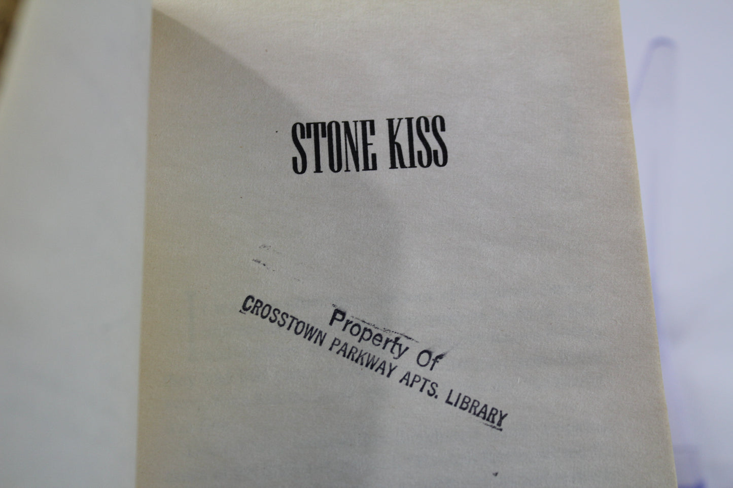 Stone Kiss (Peter Decker/Rina Lazarus) by Faye Kellerman