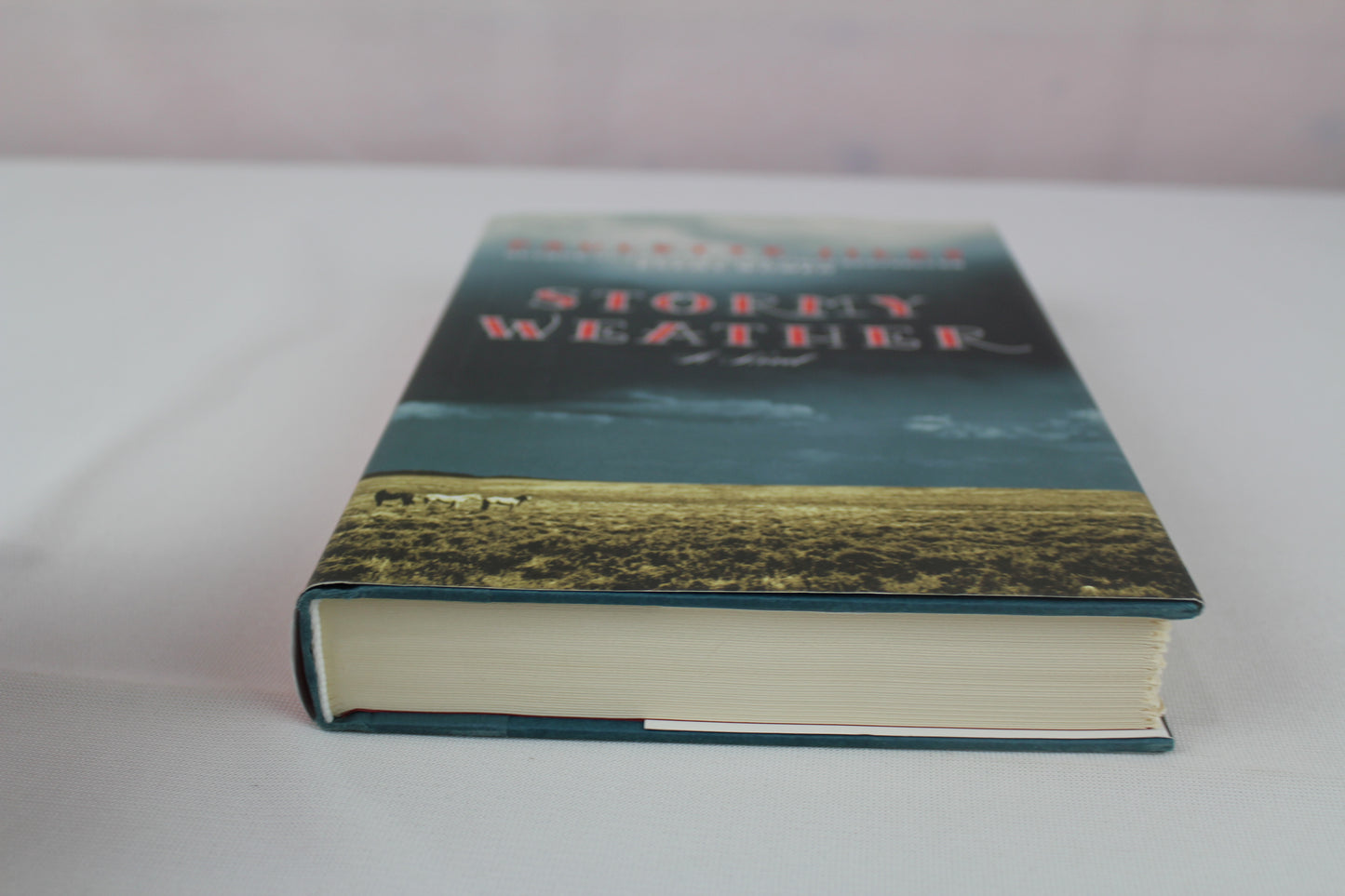 Stormy Weather: A Novel by Paulette Jiles