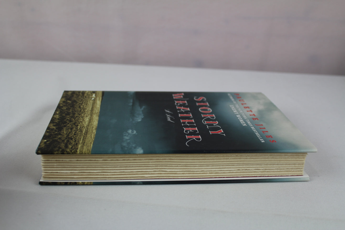 Stormy Weather: A Novel by Paulette Jiles