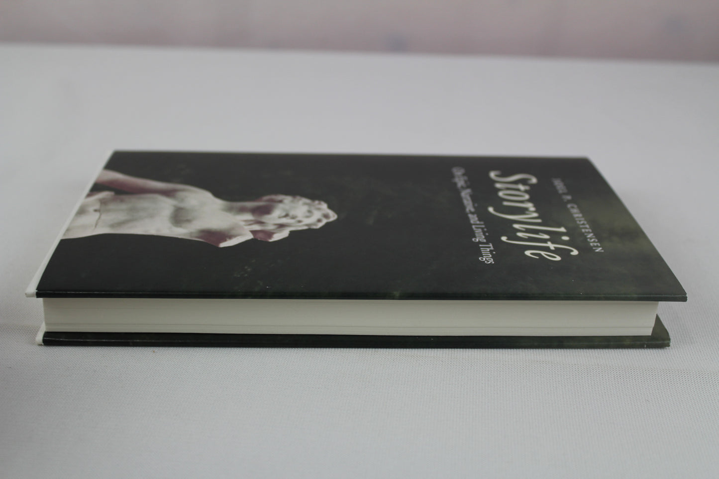 Storylife: On Epic, Narrative, and Living Things by Joel P. Christensen