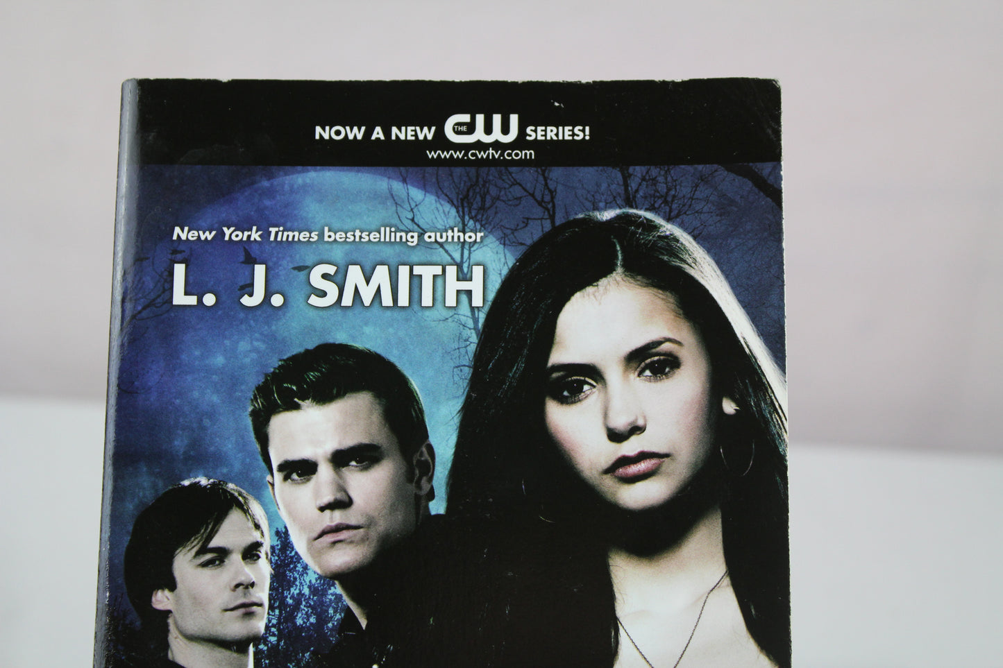 The Awakening (The Vampire Diaries, Vol. 1) (Vampire Diaries, 1) by L. J. Smith