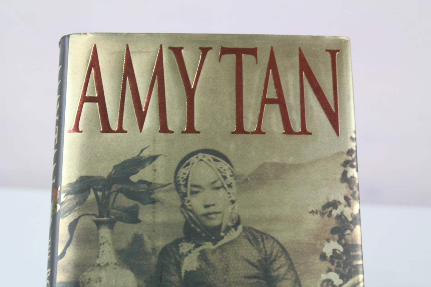 The Bonesetter's Daughter by Amy Tan