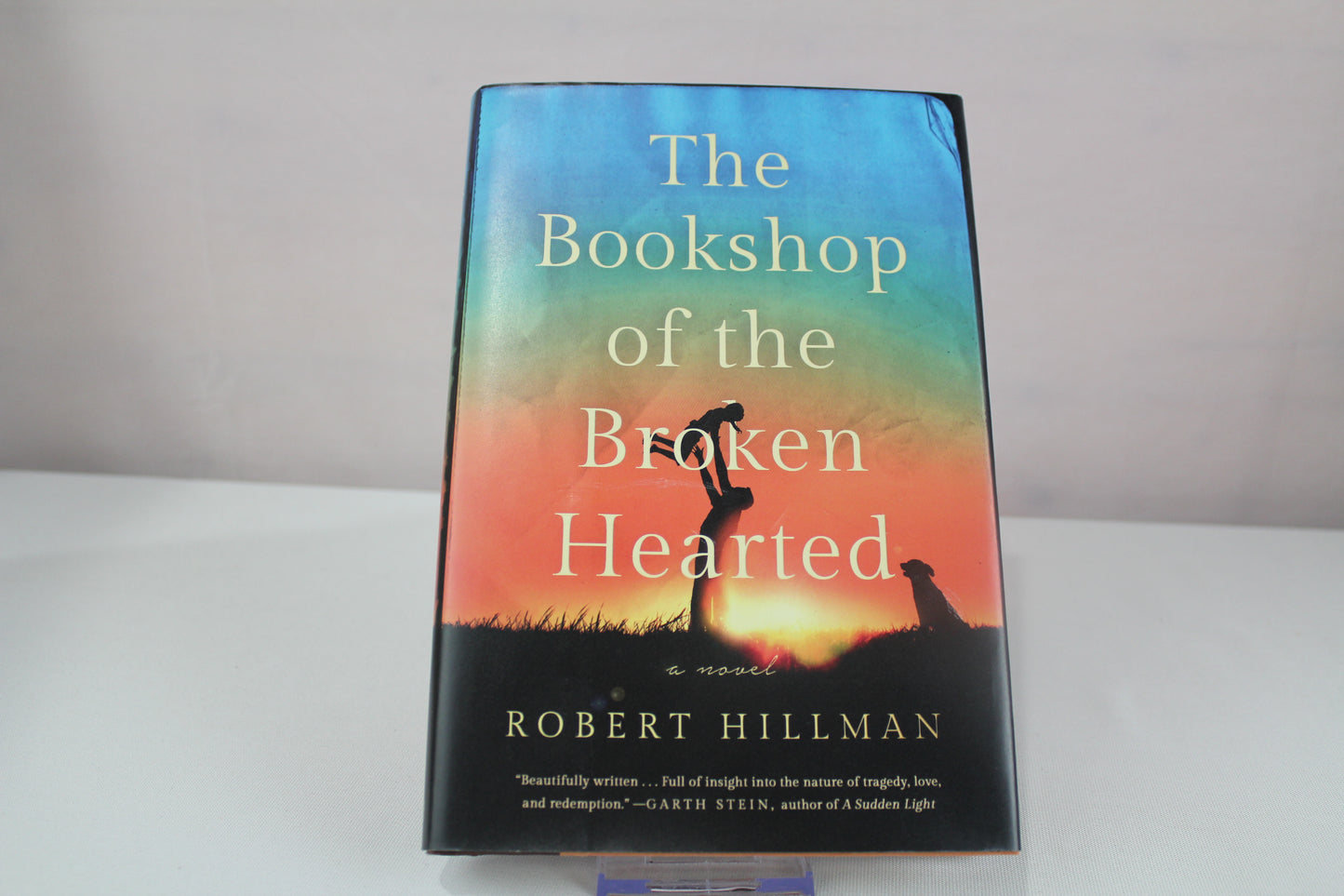 The Bookshop of the Broken Hearted by Robert Hillman