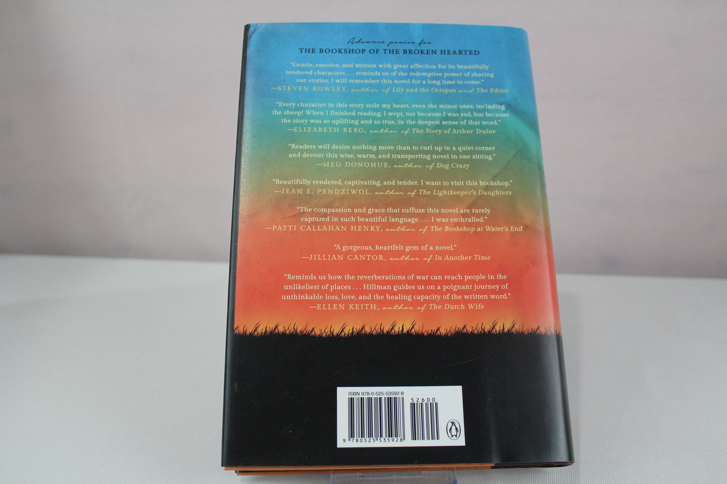 The Bookshop of the Broken Hearted by Robert Hillman