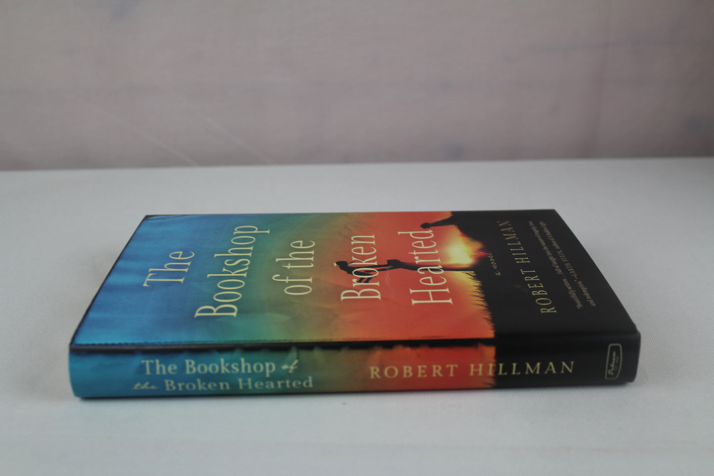 The Bookshop of the Broken Hearted by Robert Hillman