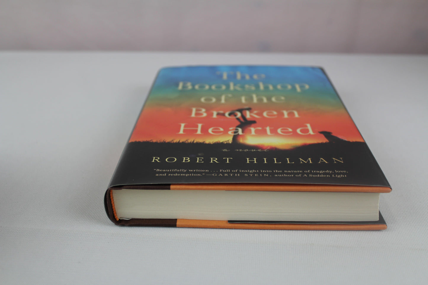 The Bookshop of the Broken Hearted by Robert Hillman