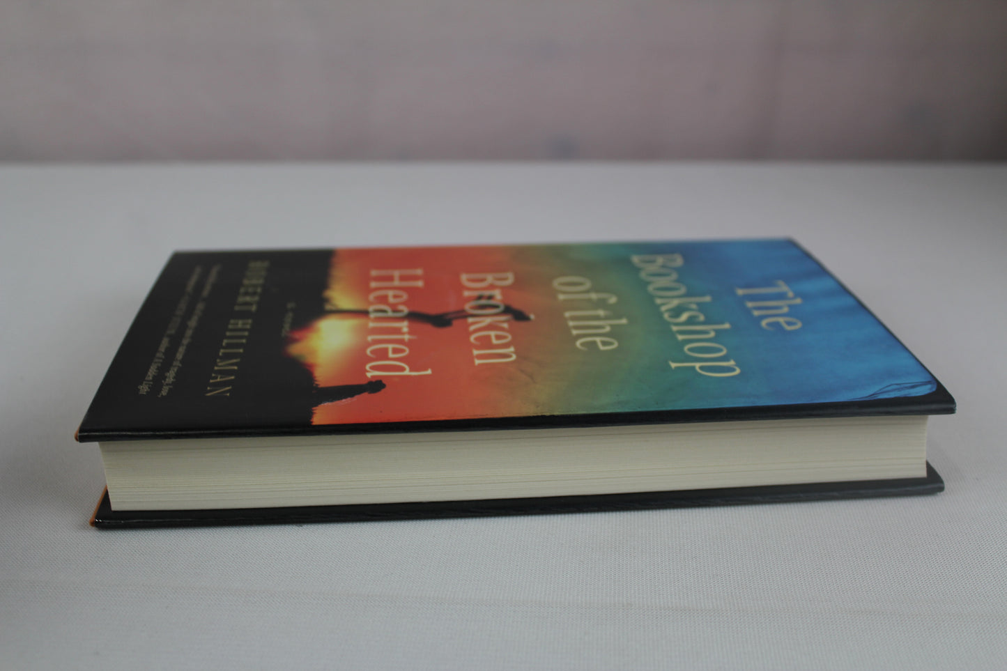 The Bookshop of the Broken Hearted by Robert Hillman