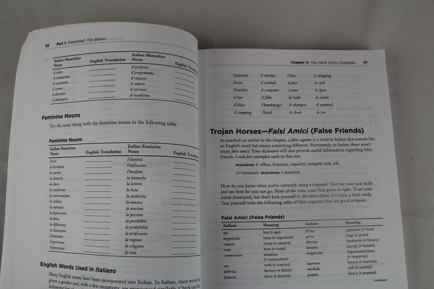 The Complete Idiot's Guide to Learning Italian (English and Italian Edition) by Gabrielle Ann Euvino