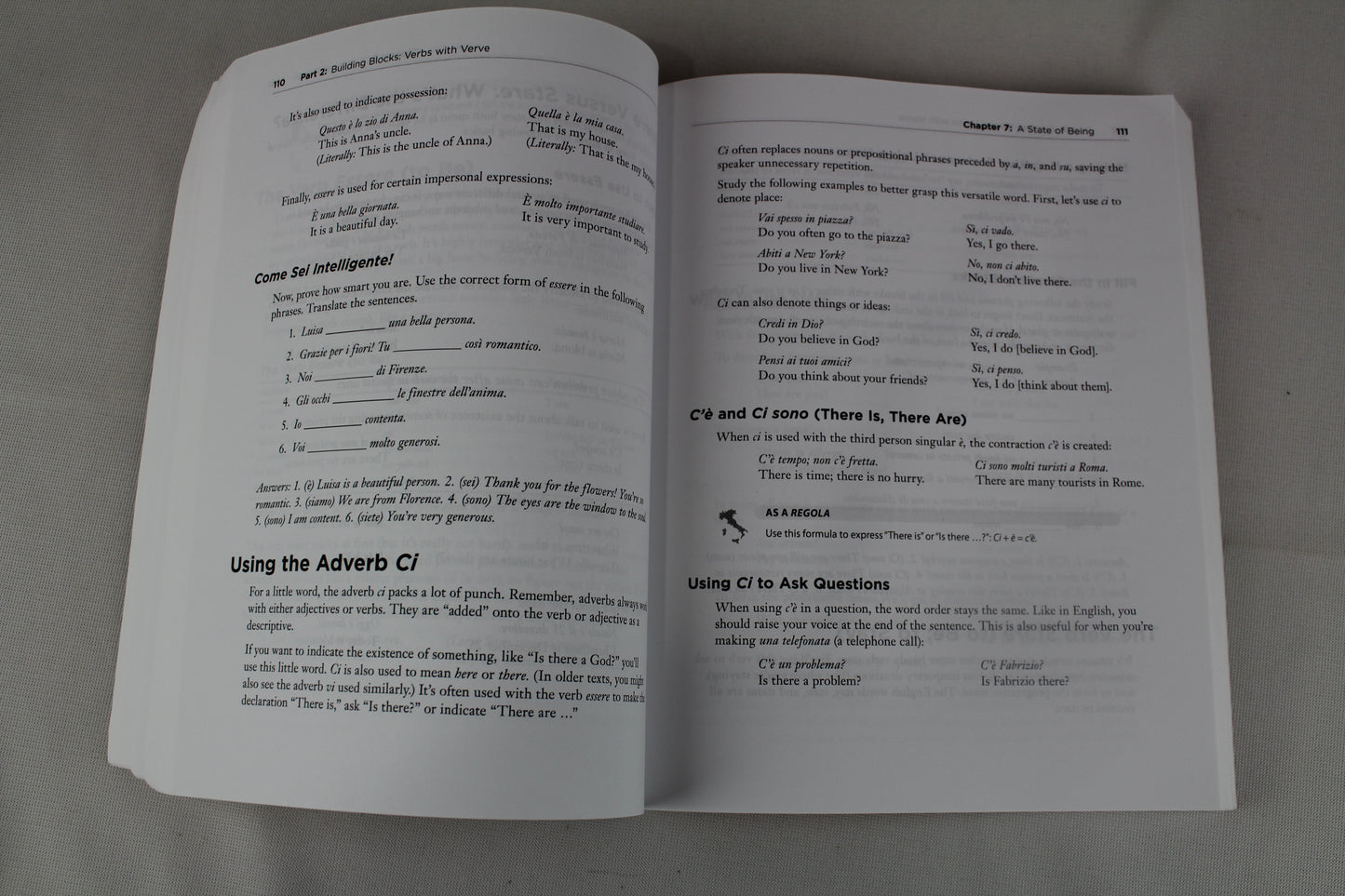 The Complete Idiot's Guide to Learning Italian (English and Italian Edition) by Gabrielle Ann Euvino