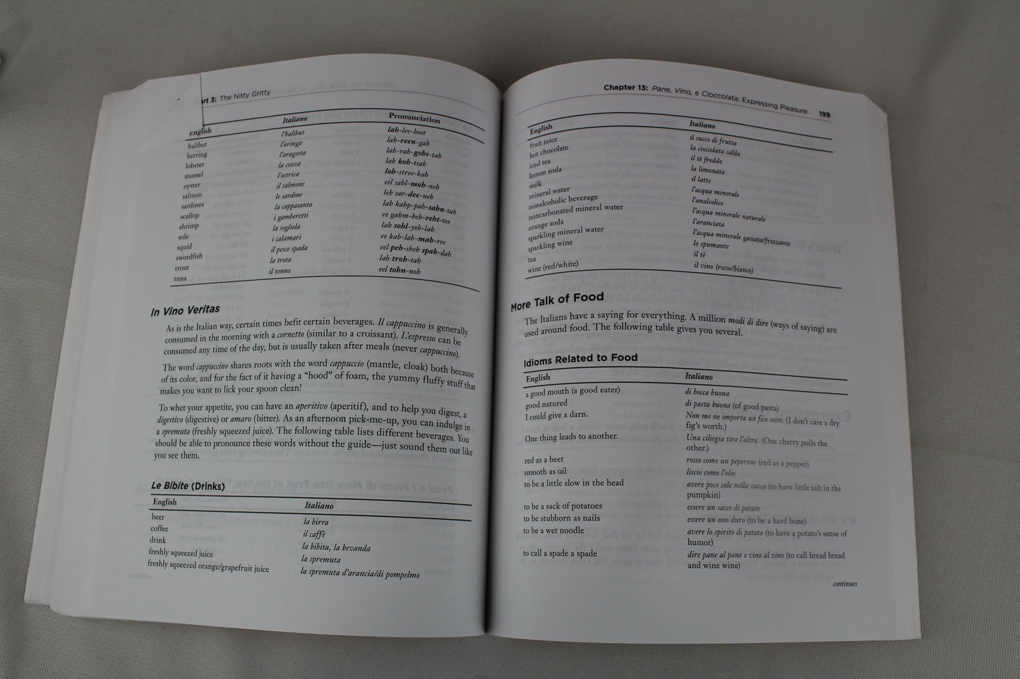 The Complete Idiot's Guide to Learning Italian (English and Italian Edition) by Gabrielle Ann Euvino