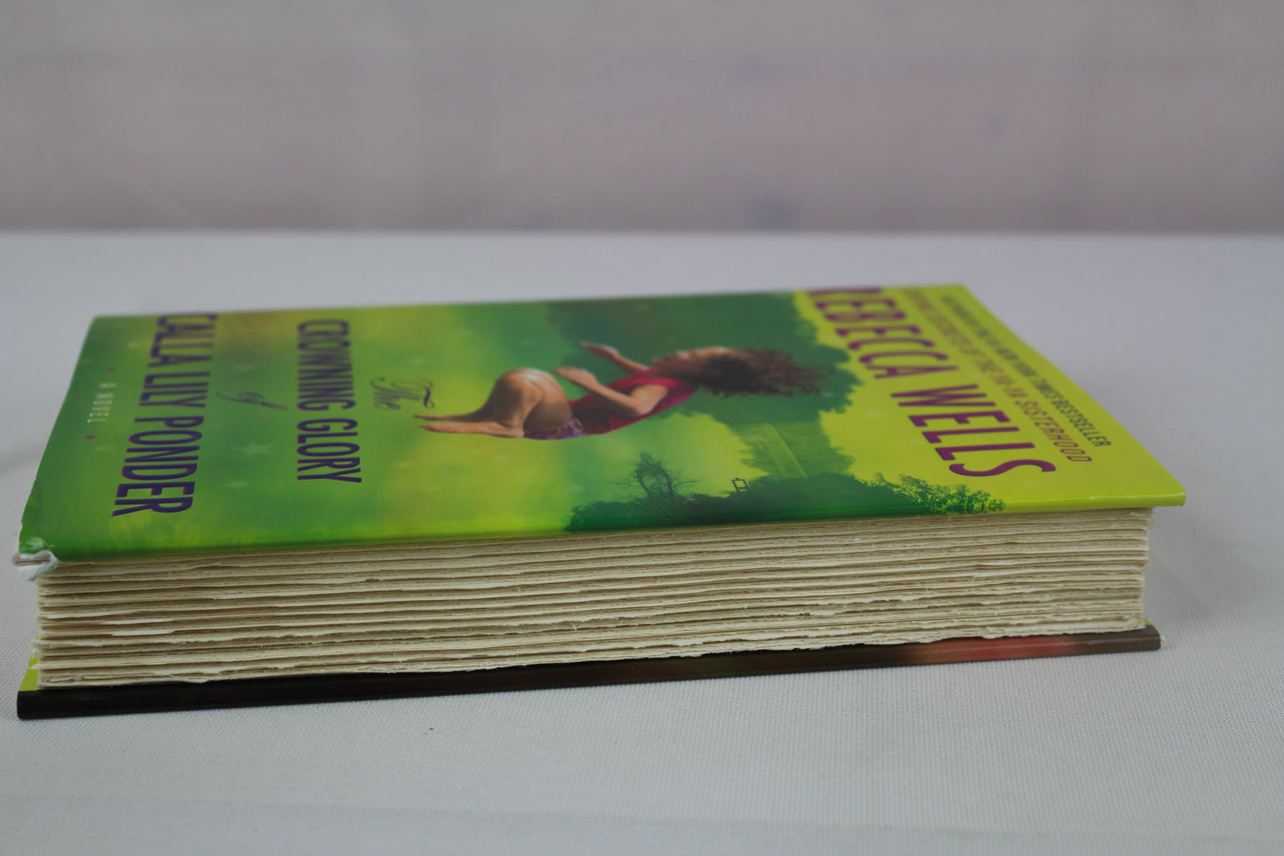 The Crowning Glory of Calla Lily Ponder: A Novel by Rebecca Wells