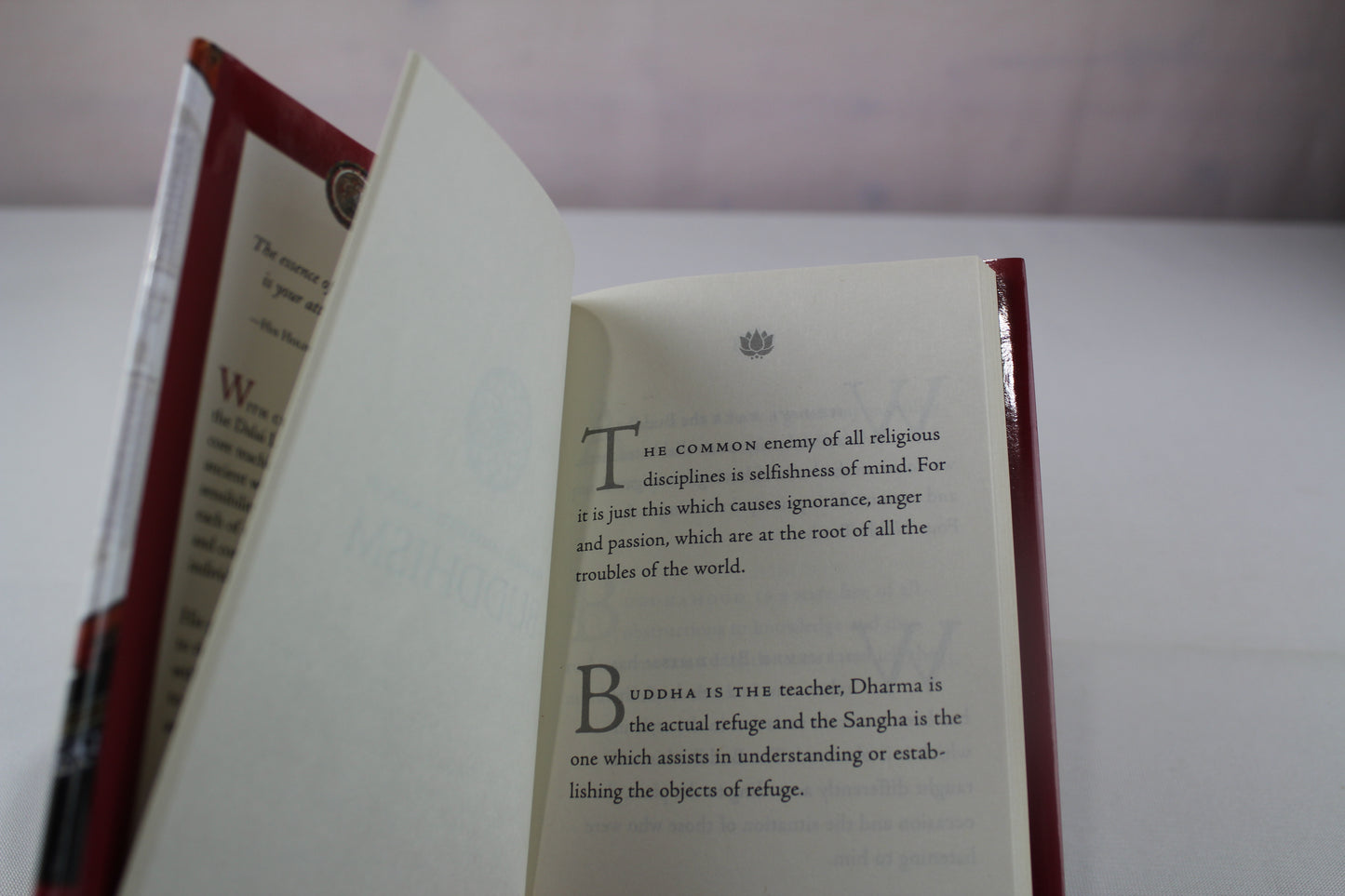 The Dalai Lama's Little Book of Buddhism by Dalai Lama, Robert Thurman