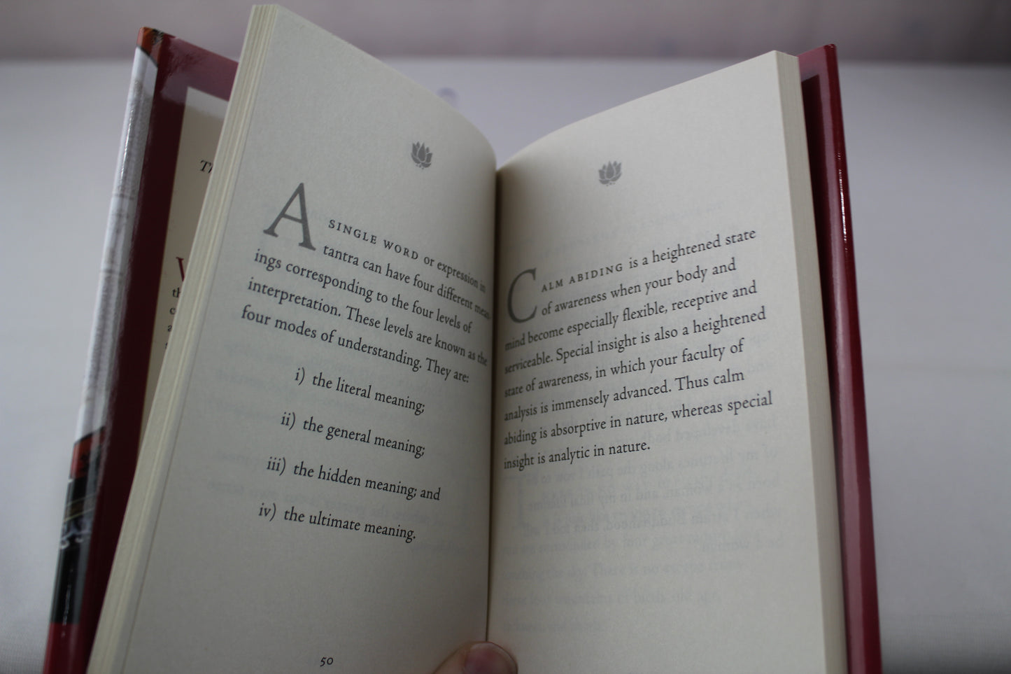 The Dalai Lama's Little Book of Buddhism by Dalai Lama, Robert Thurman