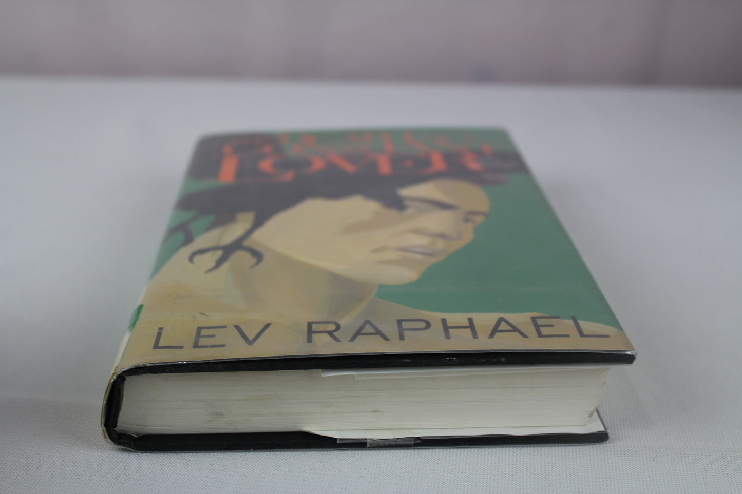 The Death of a Constant Lover: A Nick Hoffman Mystery (Walker Mystery) by Lev Raphael
