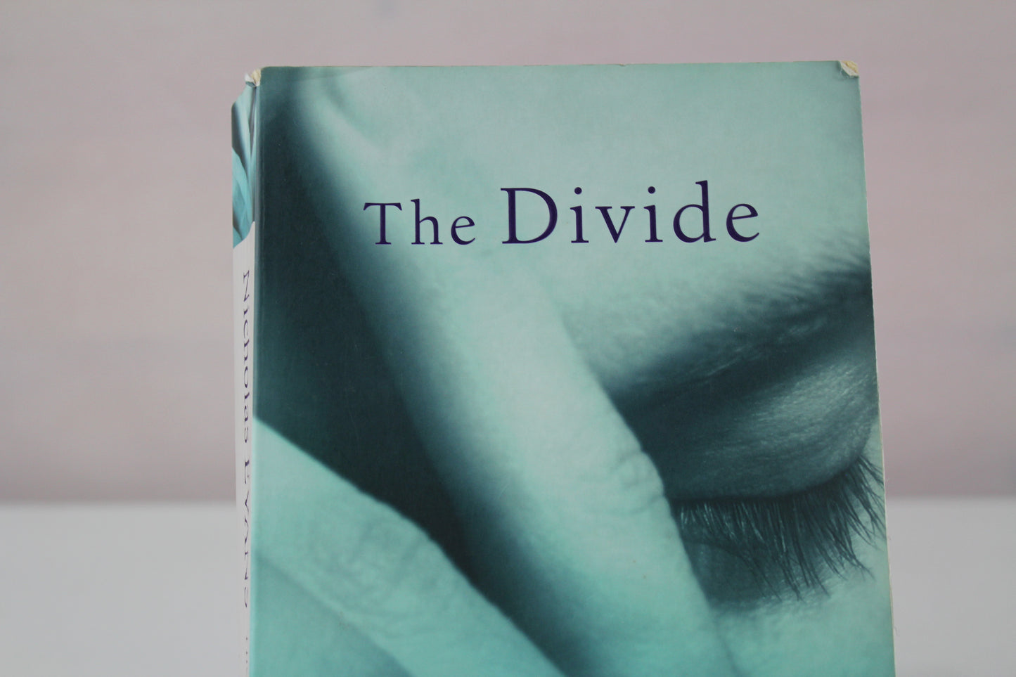 The Divide [Paperback] by Nicholas Evans