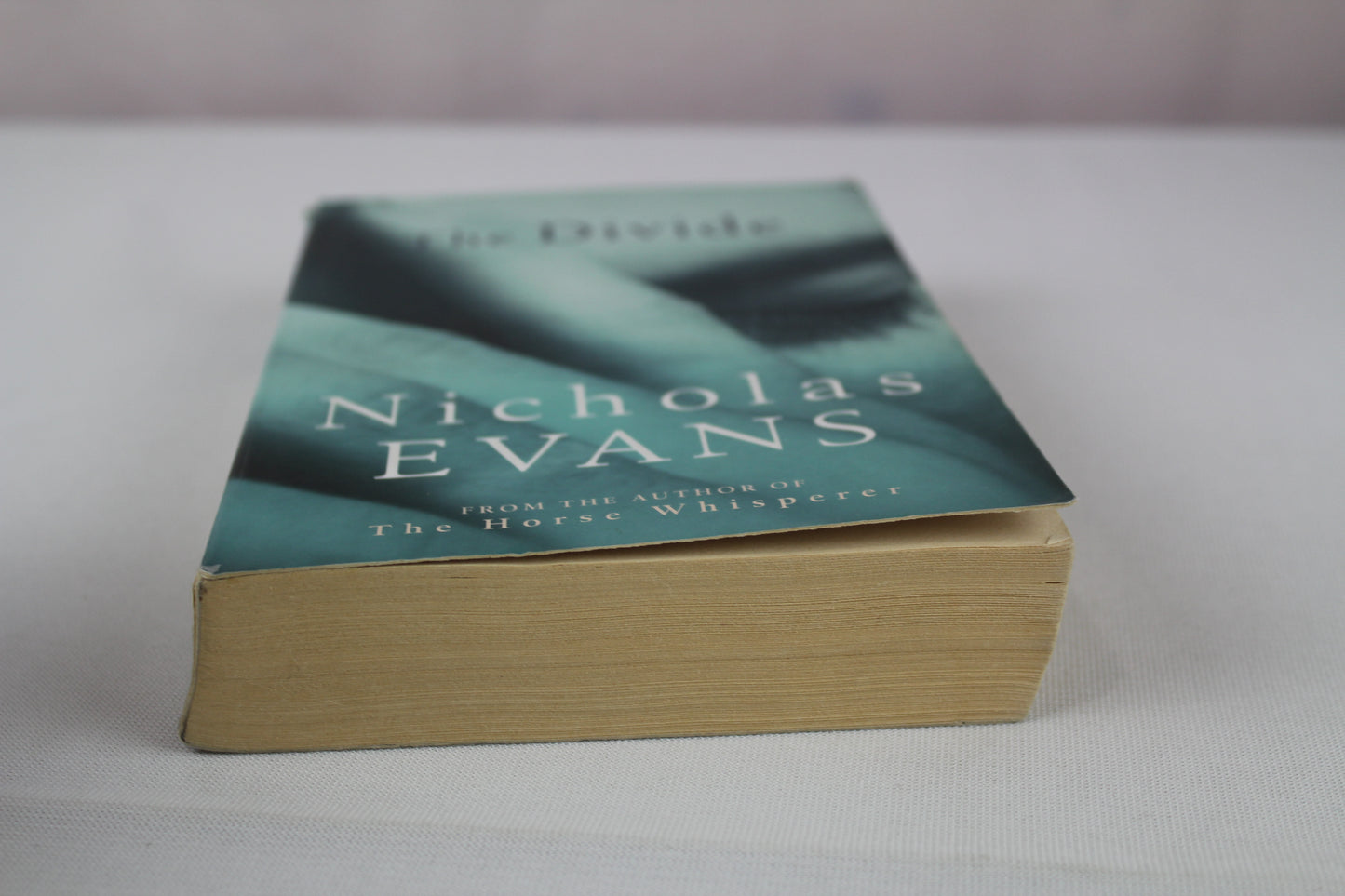 The Divide [Paperback] by Nicholas Evans