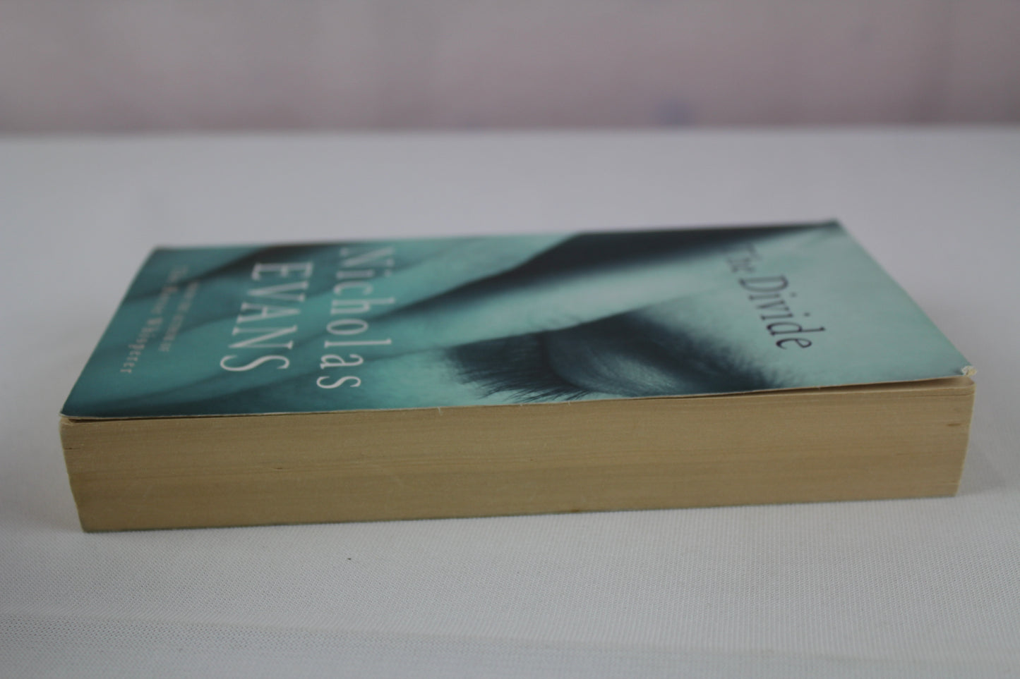 The Divide [Paperback] by Nicholas Evans