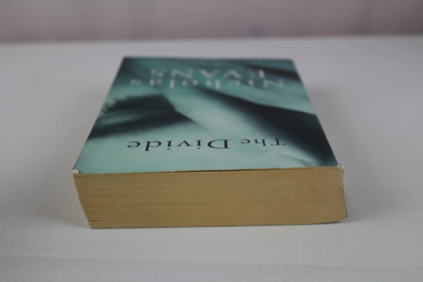 The Divide [Paperback] by Nicholas Evans