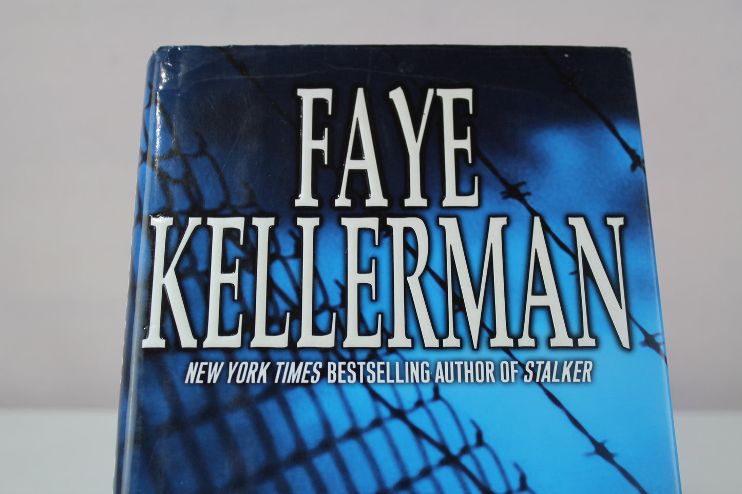 The Forgotten: A Peter Decker/Rina Lazarus Novel by Faye Kellerman
