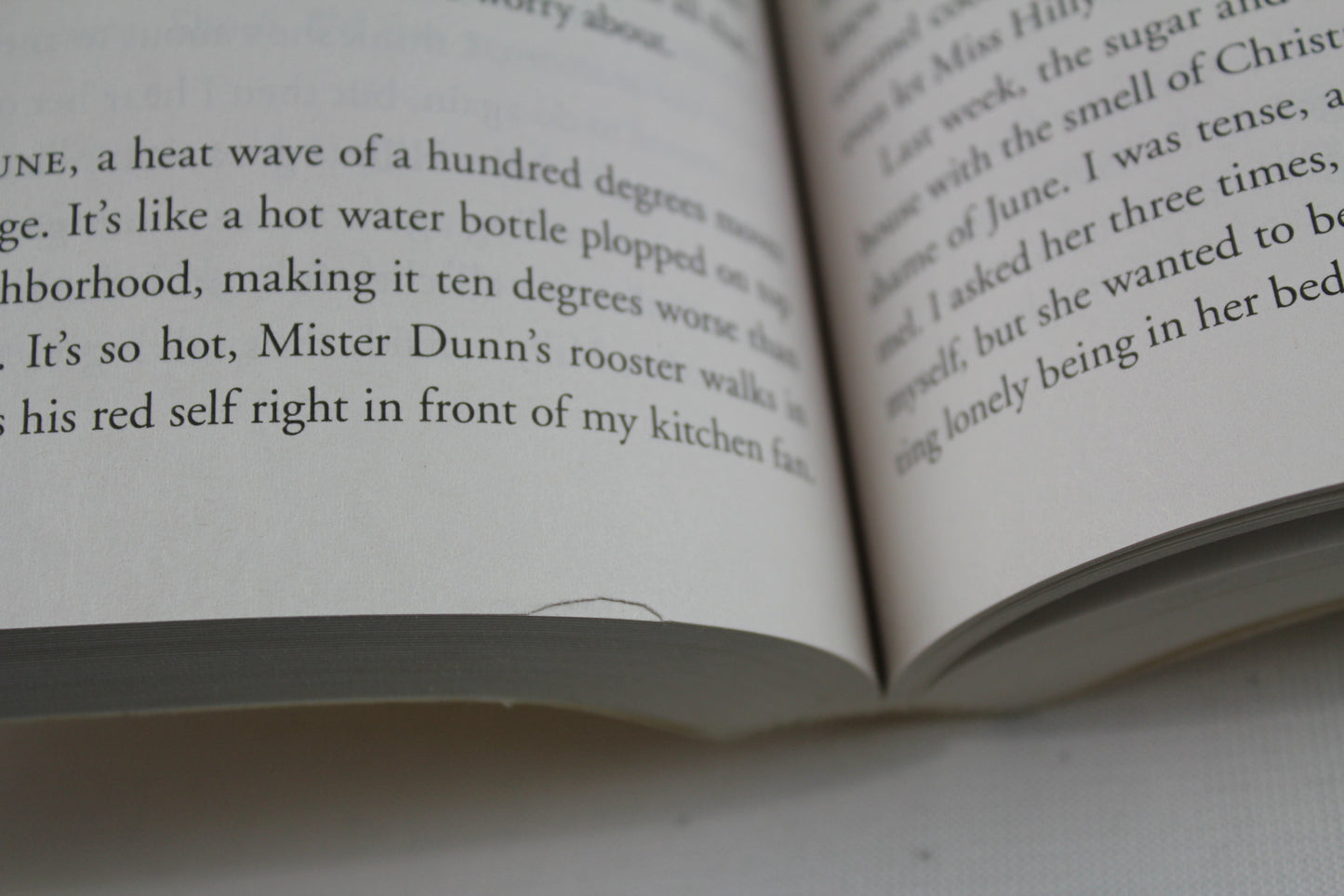 The Help by Kathryn Stockett