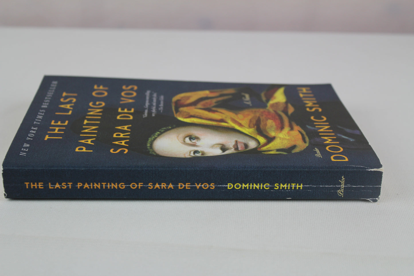 The Last Painting of Sara de Vos: A Novel by Dominic Smith