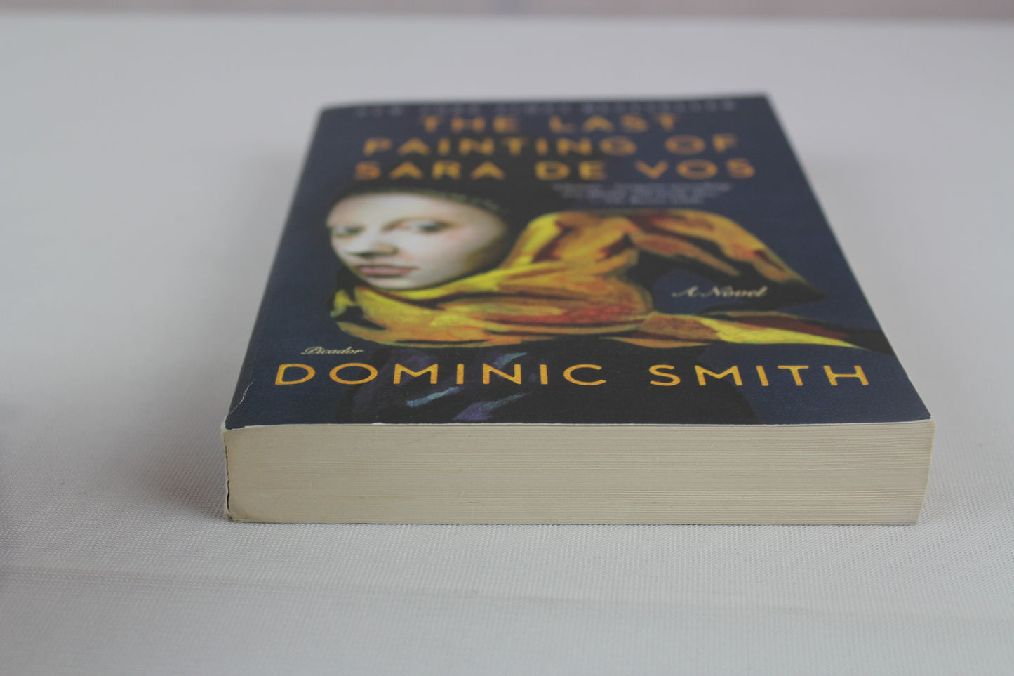 The Last Painting of Sara de Vos: A Novel by Dominic Smith