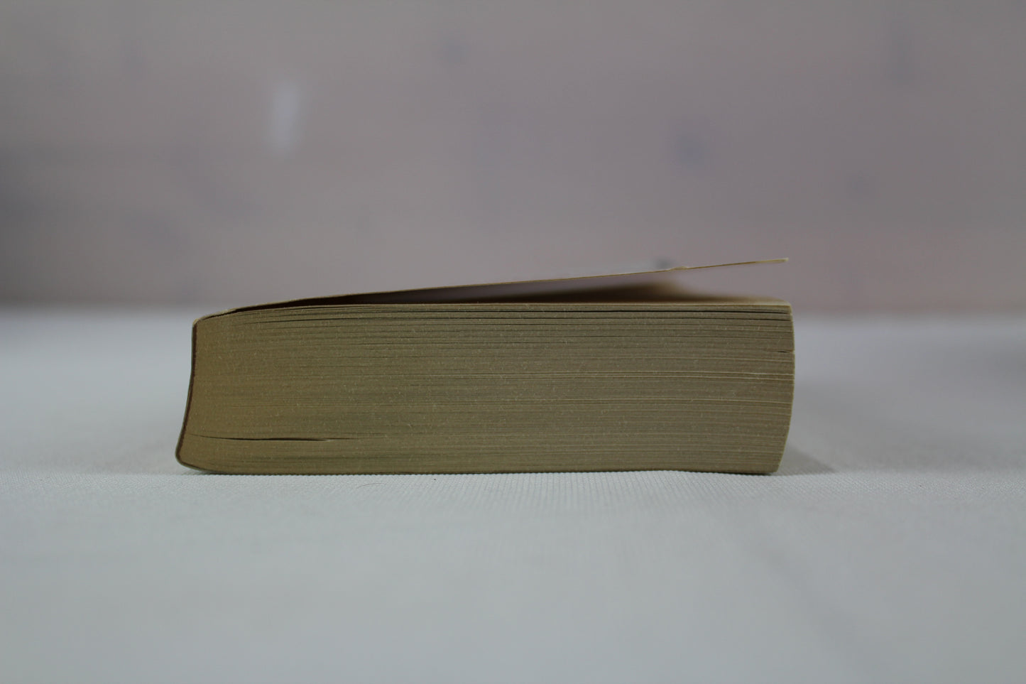 Palindrome by Stuart Woods