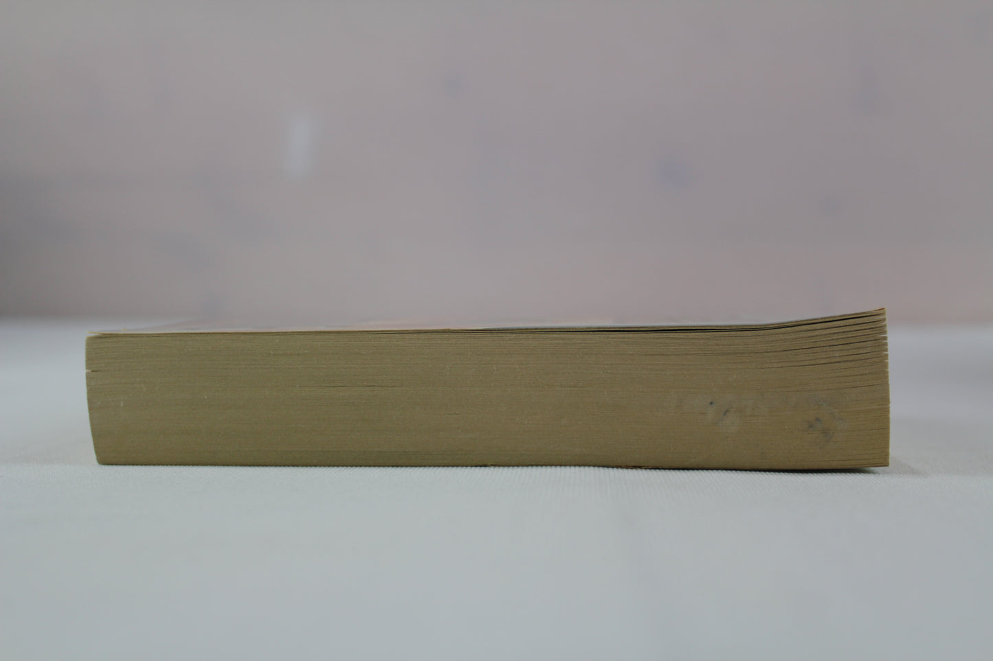 Palindrome by Stuart Woods