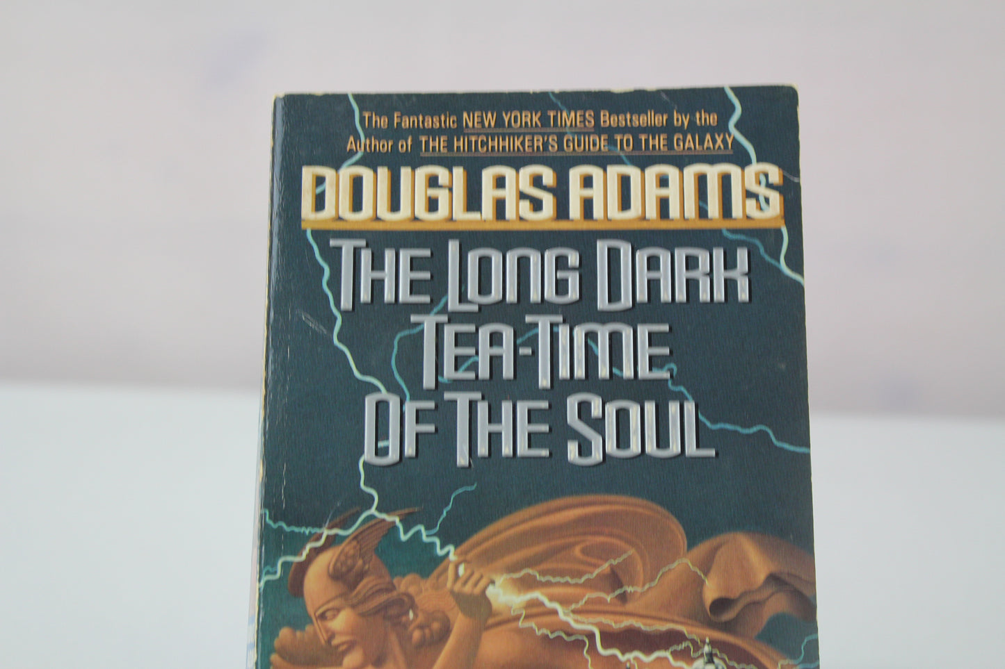 The Long Dark Tea-Time of the Soul by Douglas Adams
