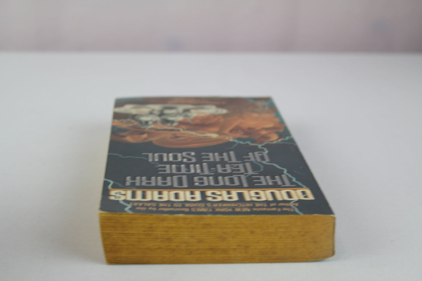 The Long Dark Tea-Time of the Soul by Douglas Adams