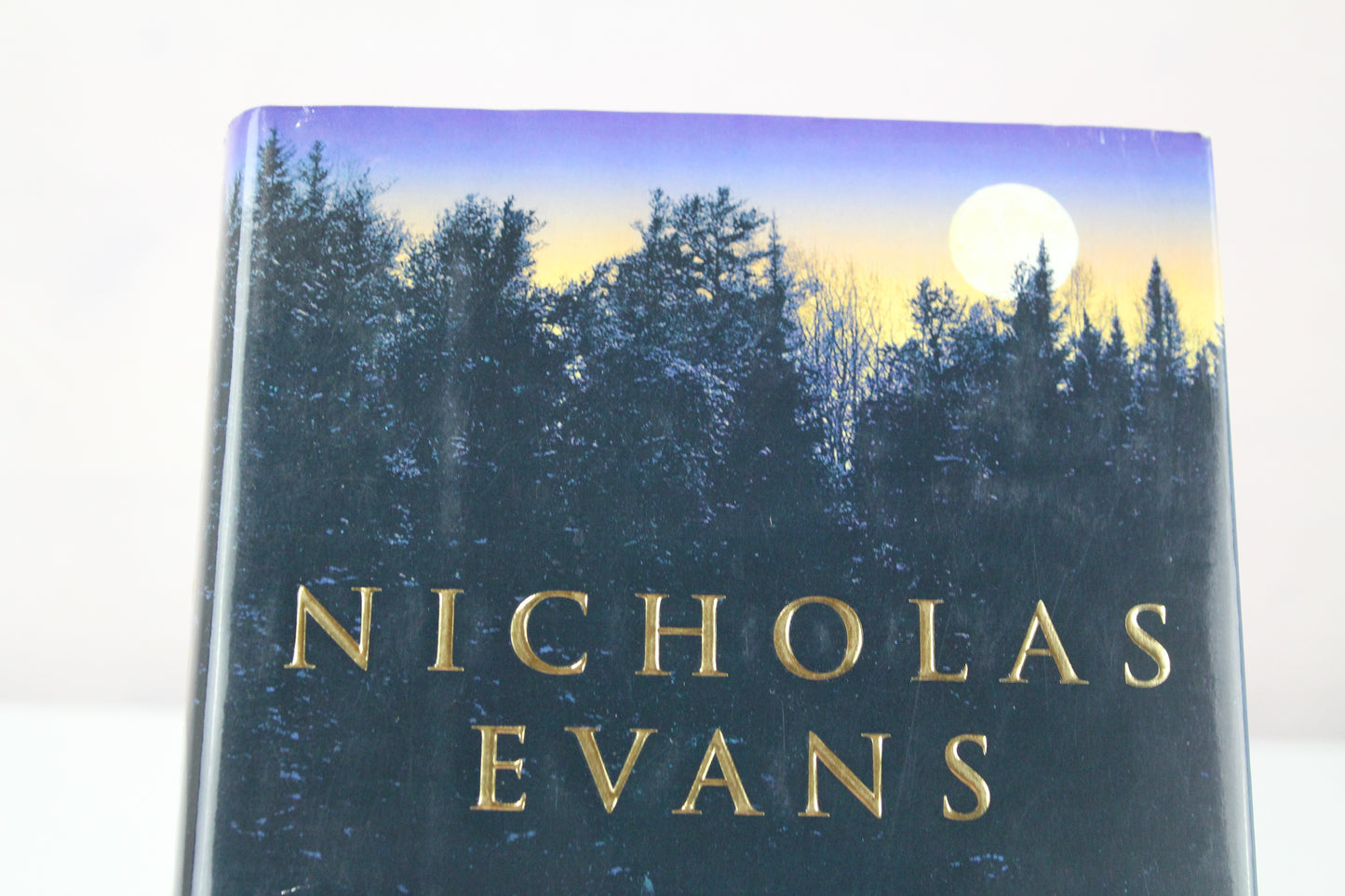 The Loop by Nicholas Evans