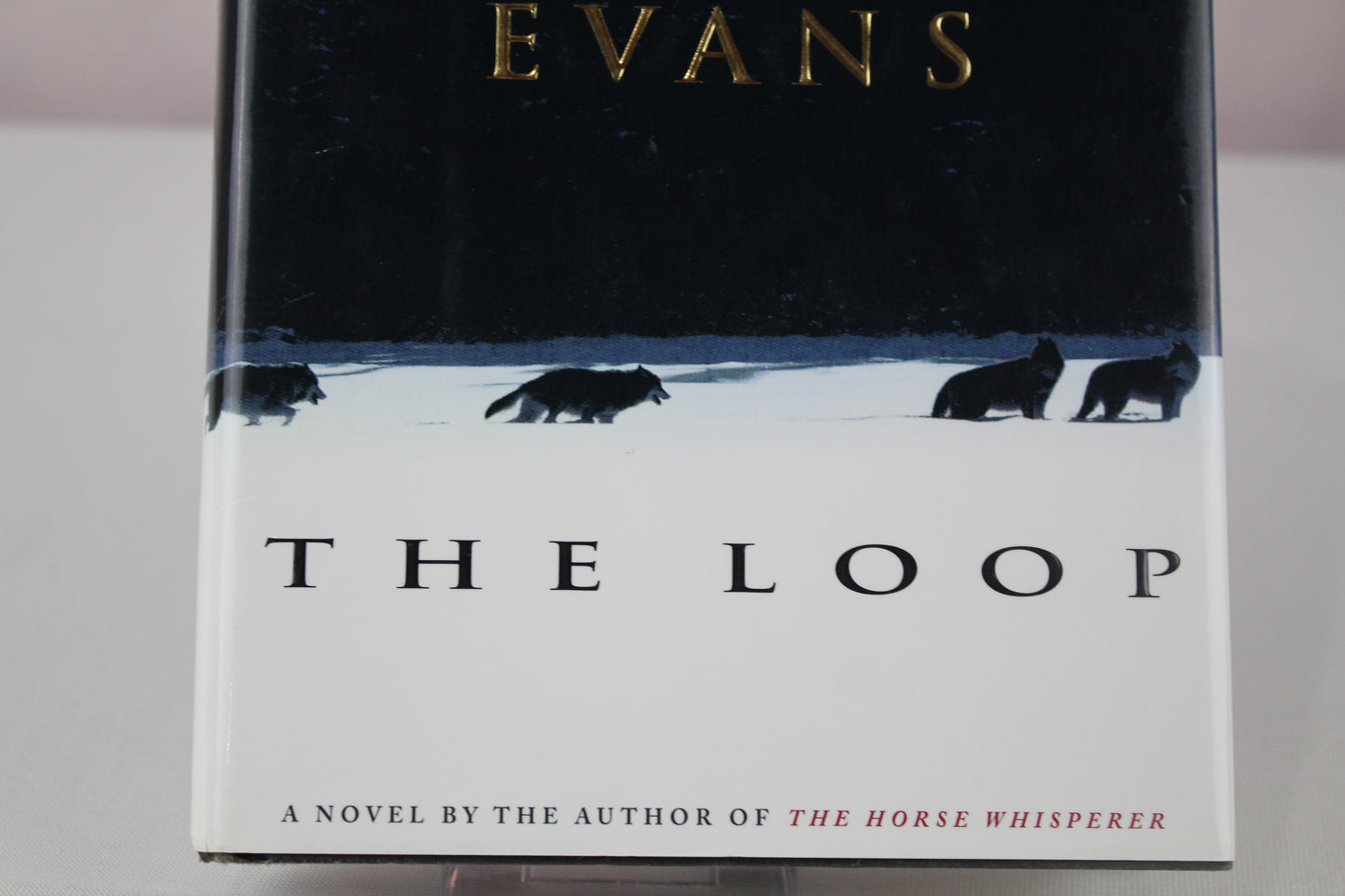 The Loop by Nicholas Evans