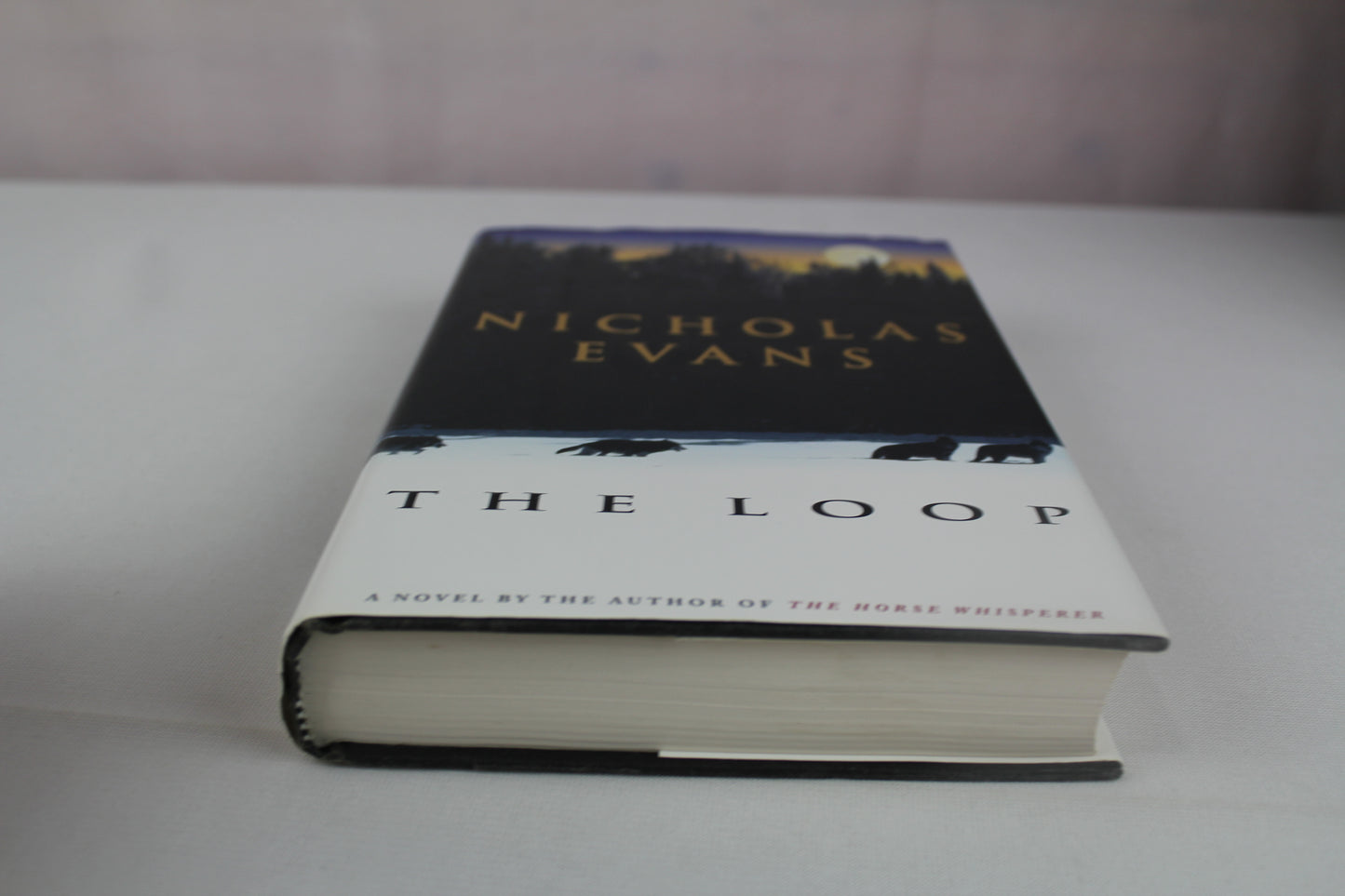 The Loop by Nicholas Evans