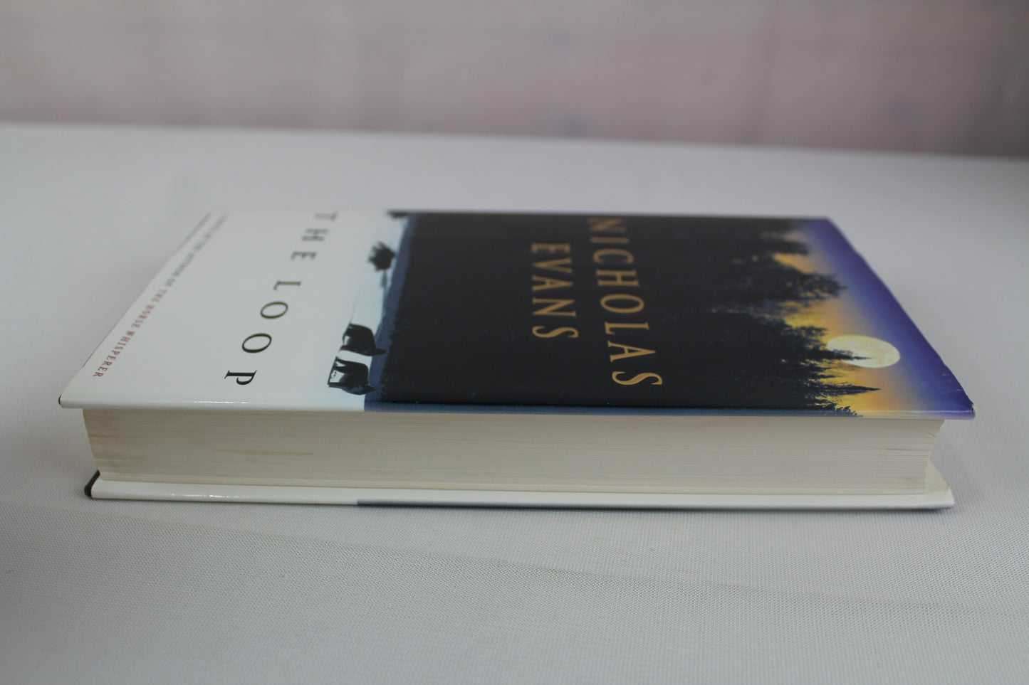 The Loop by Nicholas Evans