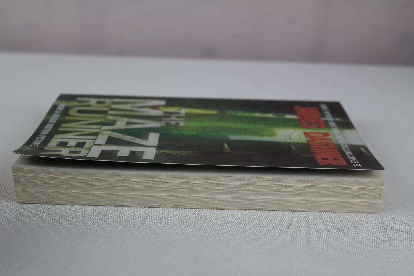 The Maze Runner (Book 1) by James Dashner