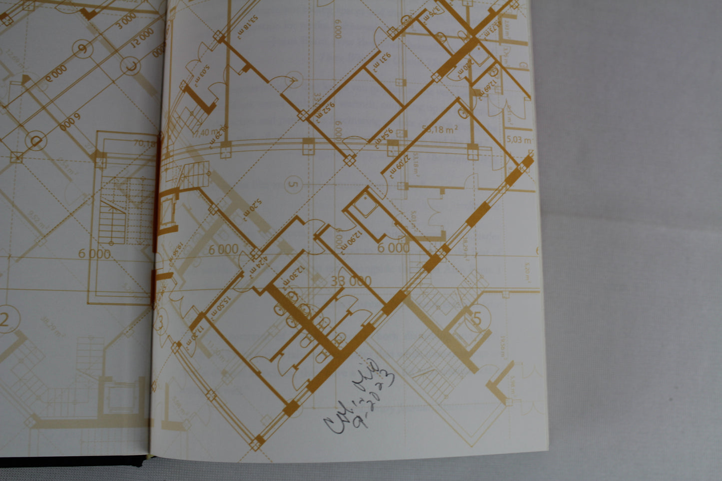 The Paris Architect by Charles Belfoure
