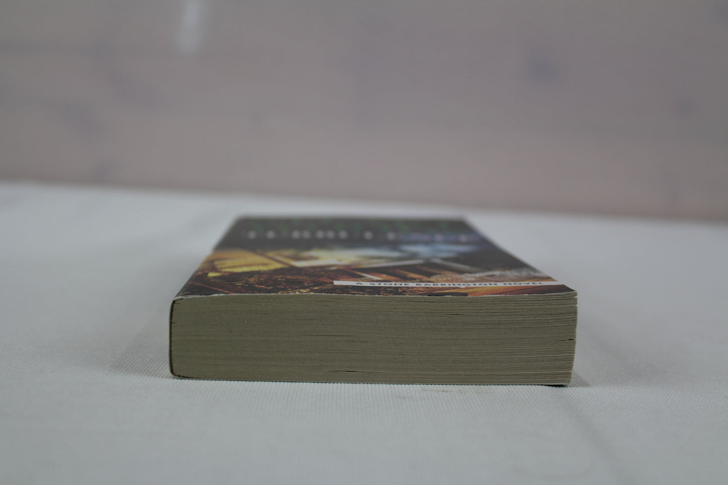 Turbulence (A Stone Barrington Novel) by Stuart Woods
