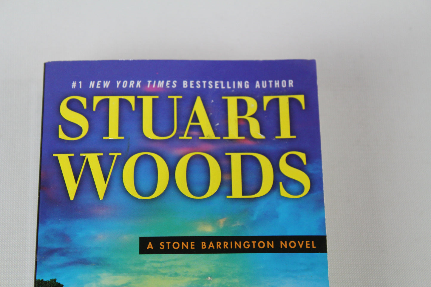 Scandalous Behavior (A Stone Barrington Novel) by Stuart Woods