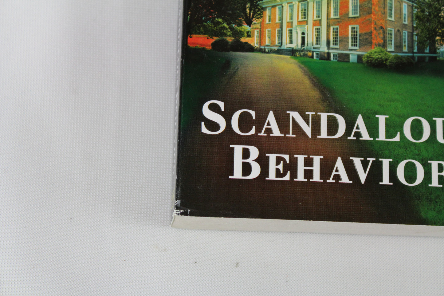 Scandalous Behavior (A Stone Barrington Novel) by Stuart Woods