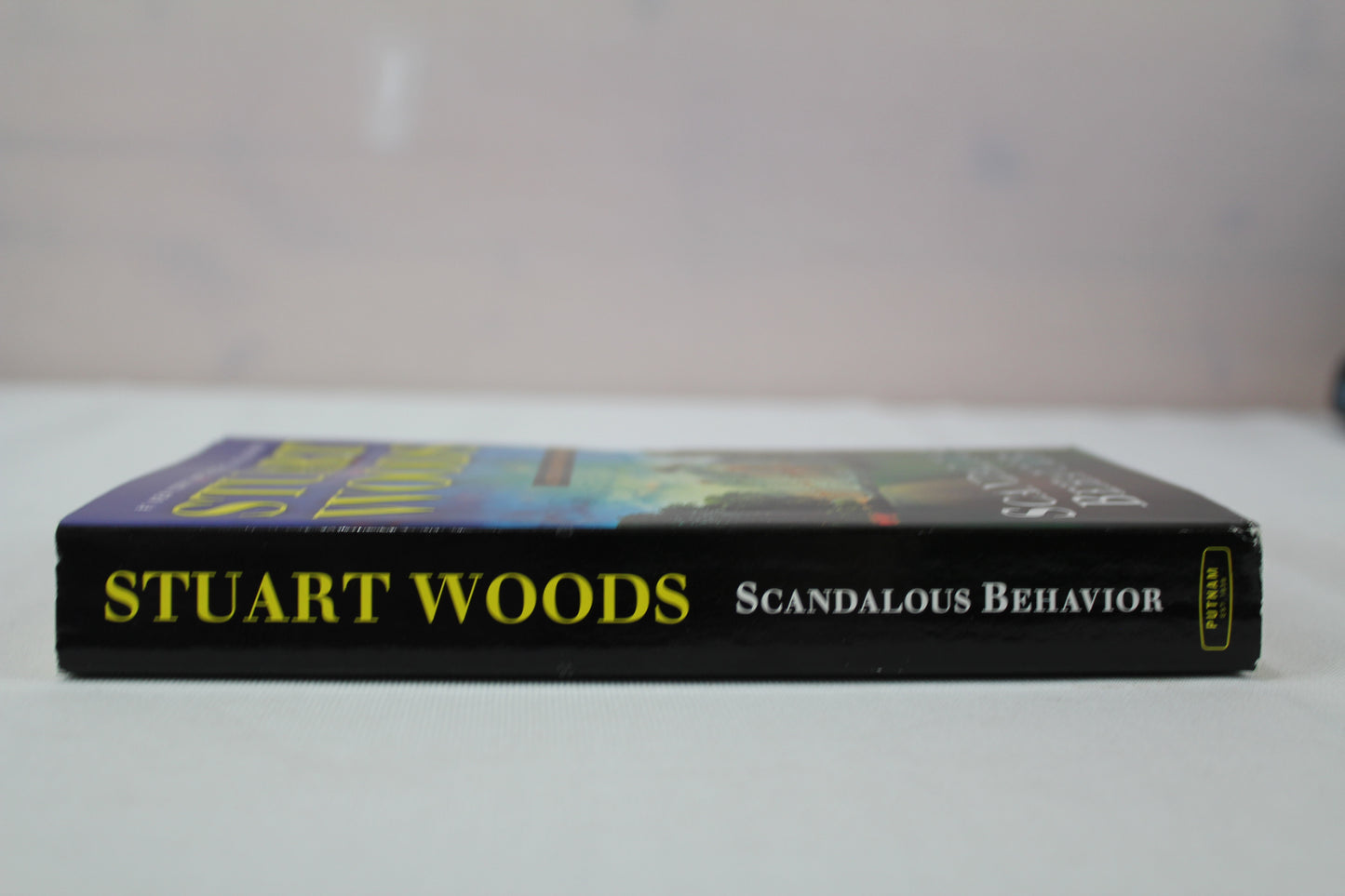 Scandalous Behavior (A Stone Barrington Novel) by Stuart Woods