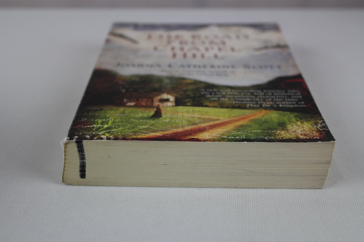 The Road From Chapel Hill by Joanna Catherine Scott