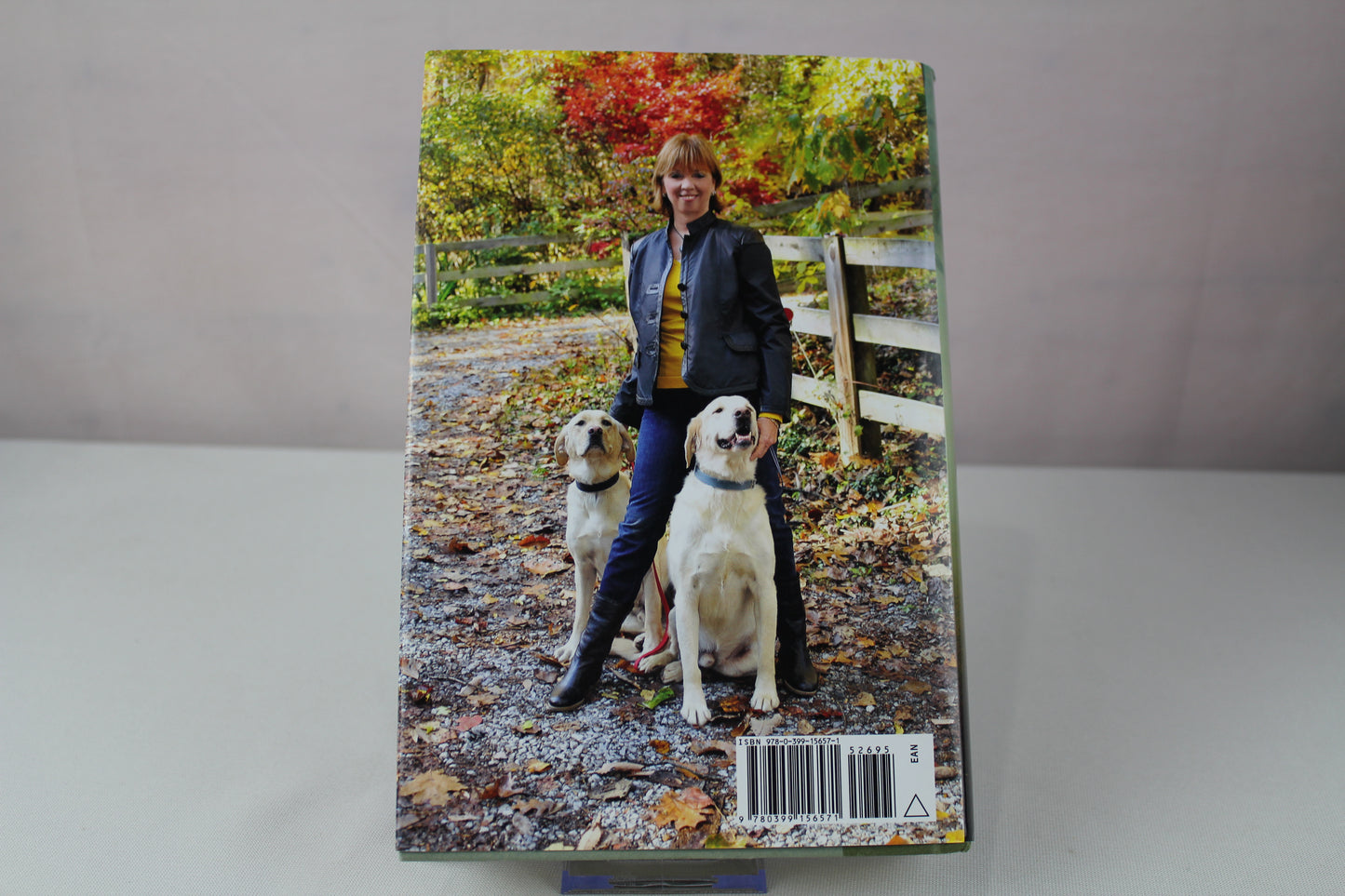 The Search by Nora Roberts