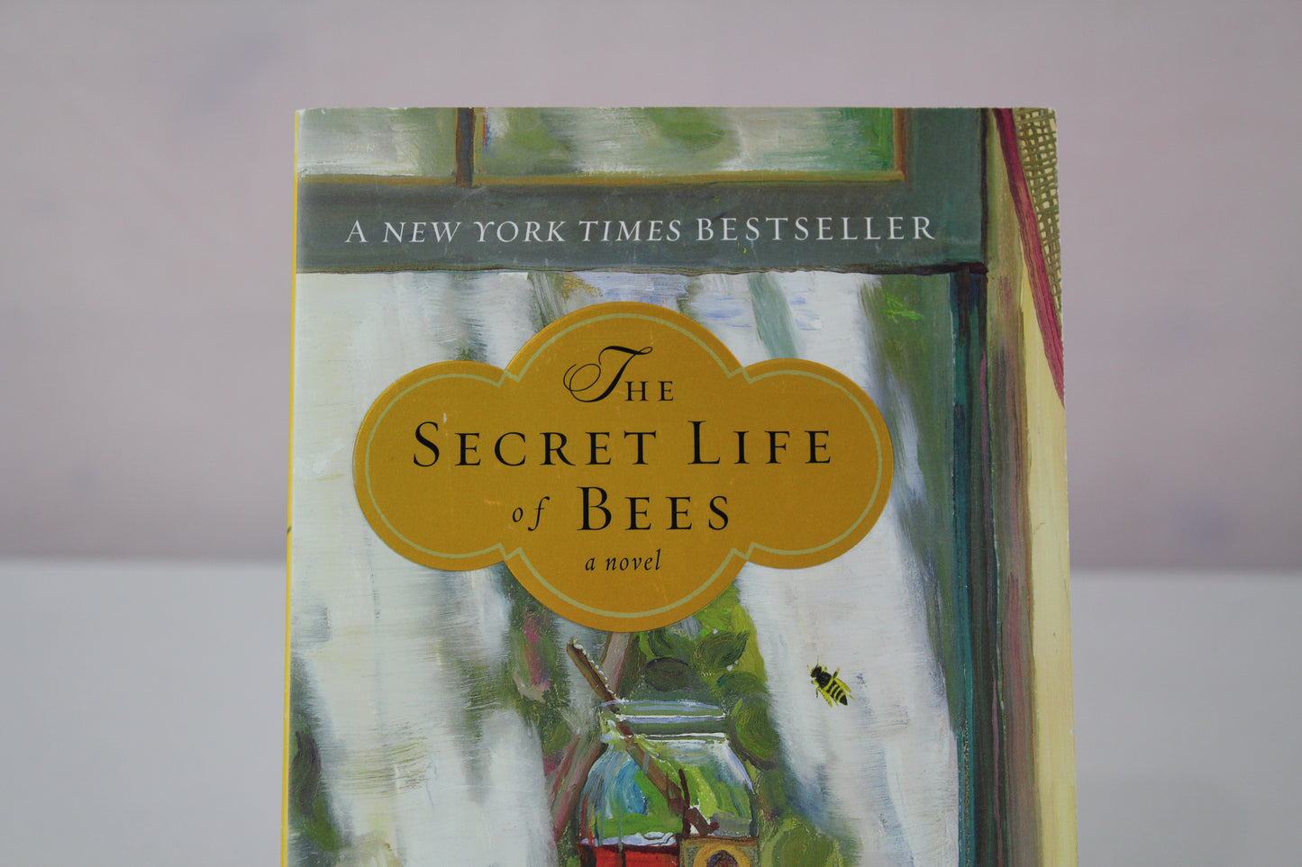 The Secret Life of Bees by Sue Monk Kidd