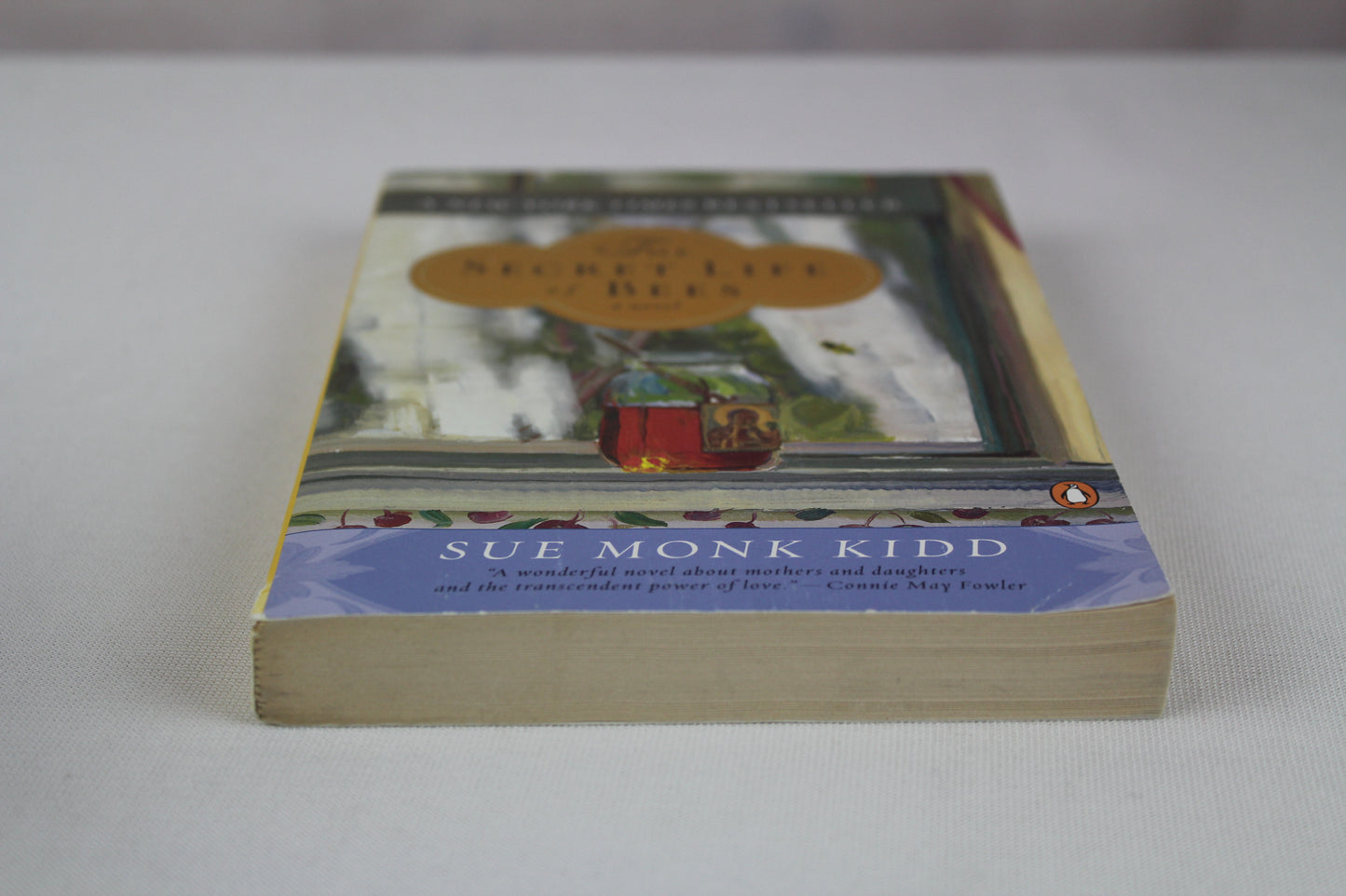 The Secret Life of Bees by Sue Monk Kidd