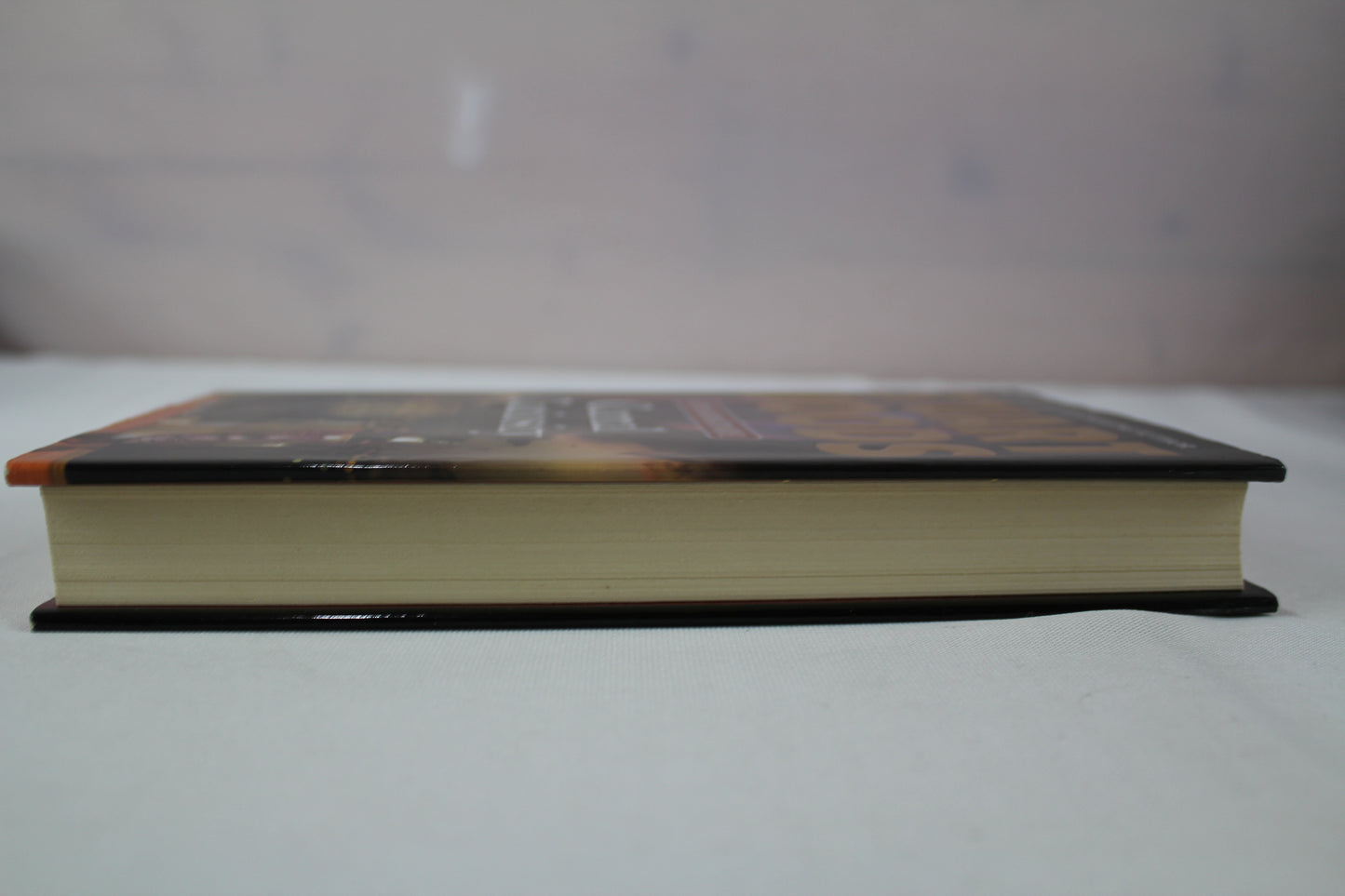 Carnal Curiosity (A Stone Barrington Novel) by Stuart Woods