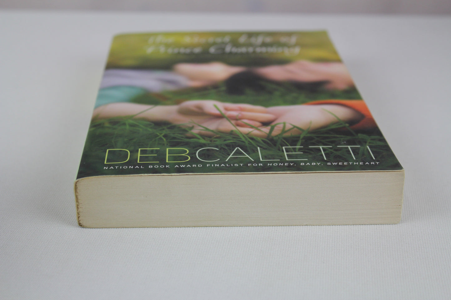 The Secret Life of Prince Charming by Deb Caletti