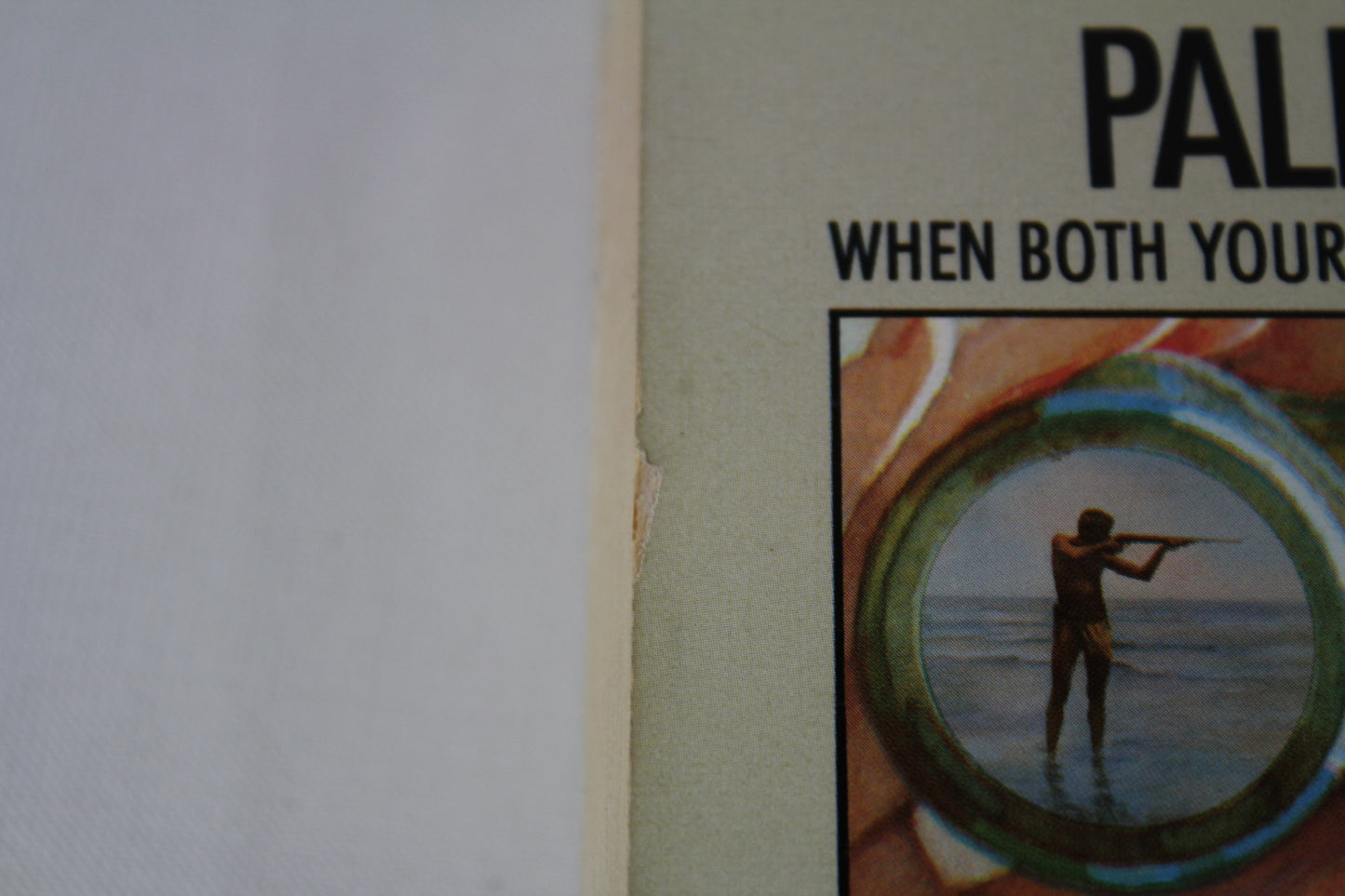 Palindrome by Stuart Woods