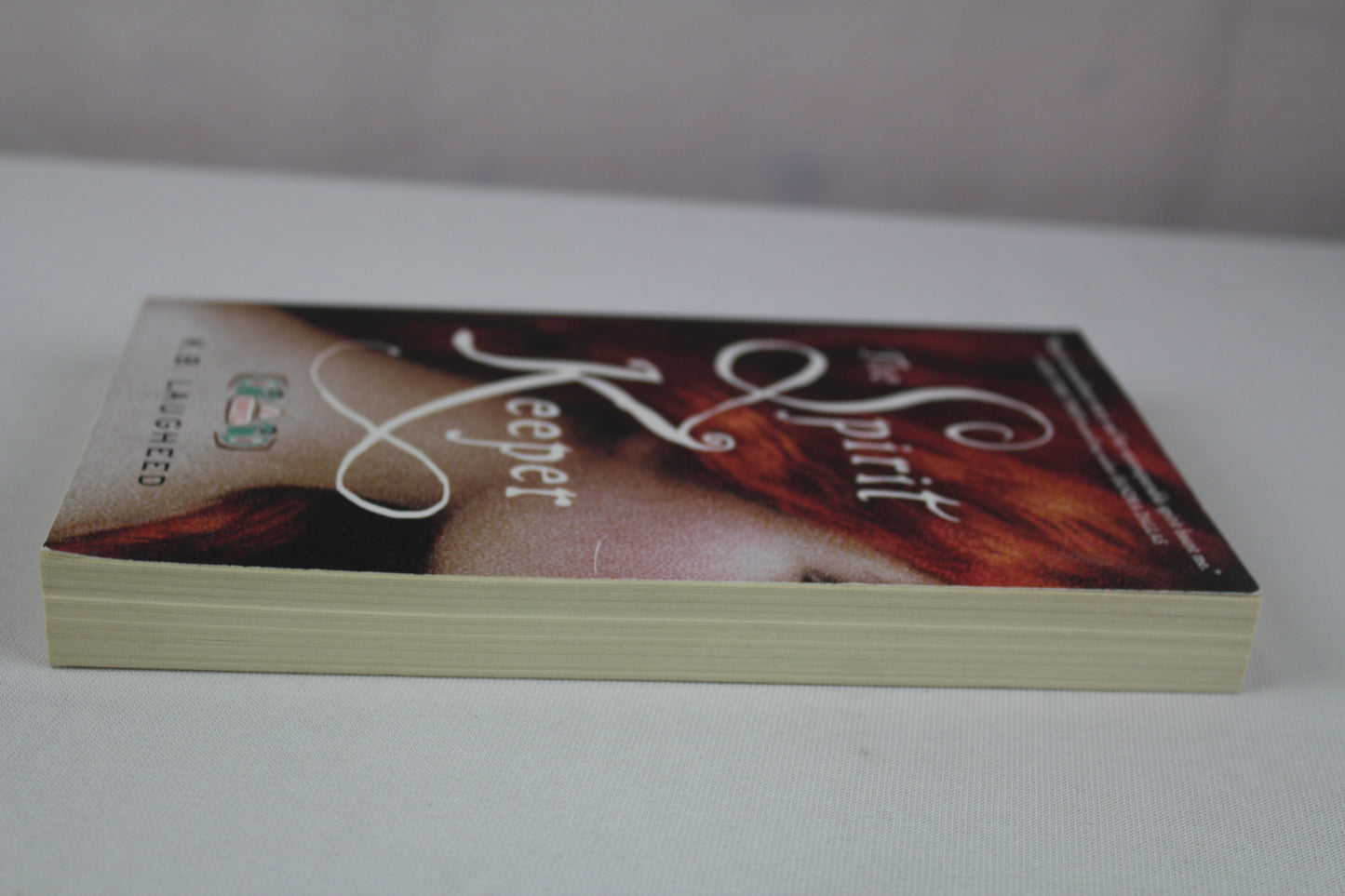 The Spirit Keeper: A Novel by K. B. Laugheed