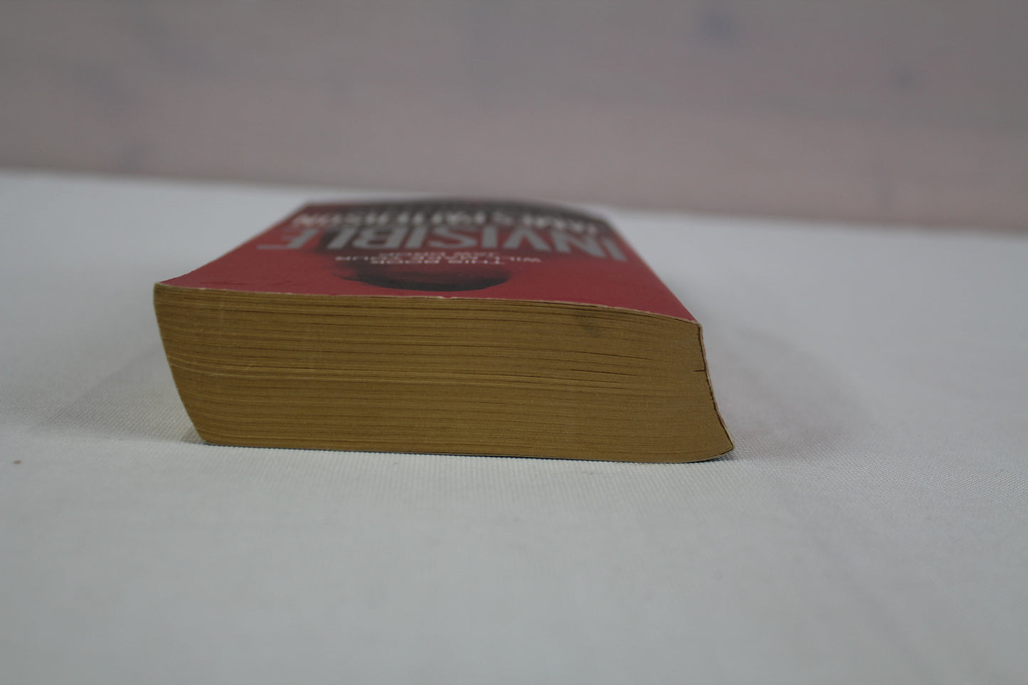 Invisible (Invisible, 1) by James Patterson, David Ellis