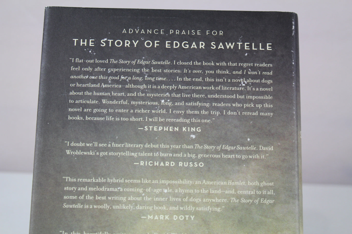 The Story of Edgar Sawtelle: A Novel by David Wroblewski